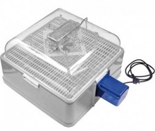 Volteador de Huevos Automatico