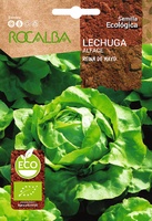 Semilla Ecologica Lechuga Reina de Mayo
