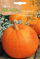 Semilla Calabaza Connectitut Field 5 gr