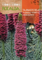 Semilla Tajinaste Rojo