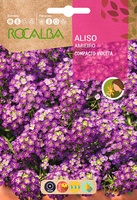 Semilla Aliso Compacto, Violeta