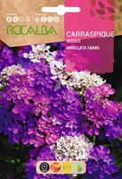 Semilla Carraspique Umbellata Enano Variado
