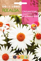 Semilla Crisantemo de los Prados Alaska Blanco