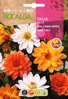 Semilla Dalia Ideal Dunwin Hib. Enana Variada
