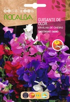 Semilla Guisante de Olor Sweetheart Enano Variado