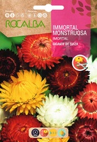 Semilla Inmortal Monstruosa Geante de Suisse