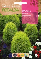 Semilla Kochia Tricophylla Oviforme