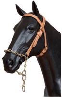 Cabezada Asturiana Nylon Pollino