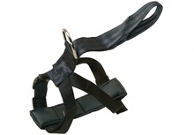 Arnes T Seguridad Automatico 50/80 cm.