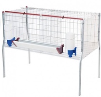 Jaula Pollos Engorde 2 Departamentos