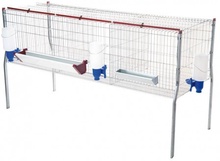 Jaula Pollos Engorde 3 Departamentos