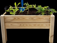 Kit Iniciacion Cultivo Leo