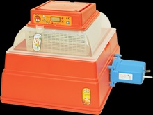 Incubadora Automatica Covatutto 24 Digital