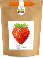 kit Huerto Pocket Fresones