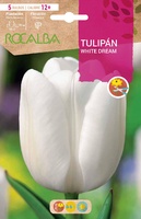 Bulbos Tulipanes Variedad White Dream -blanco Puro