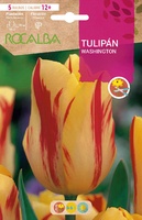Bulbo Tulipanes 12+ Washington