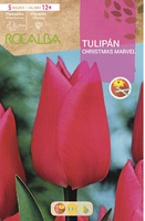 Bulbos Tulipanes Variedad Christmas Marvel