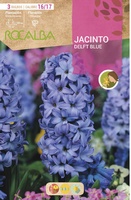 Bulbos Jacinto Variedad Delft Blue