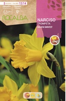 Bulbos Narciso Variedad Trompeta 12/15 Golden Harvest -amarillo