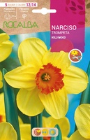 Bulbos Narciso Variedad Hollywood -amarillo Centro Naranja