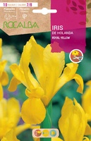 Bulbos Iris Variedad Royal Yellow -amarillo