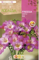 Bulbo Freesias Simples 5+ Rosa