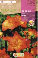 Bulbo Freesias Simples 5+ Naranja