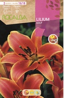 Bulbos Liliums 16/18 Golf Naranja