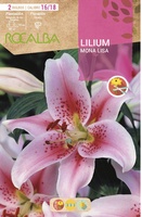 Bulbos Liliums 16/18 Mona Lisa Lila Suave Puntos Rojos