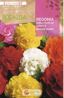 Bulbos Begonias Dobles Flor de Camelia Mezcla de Colores