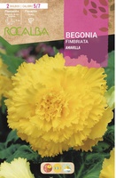 Bulbo Begonias Fimbriata Amarillo