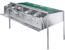 Jaula Cria Perdices 10 Departamentos