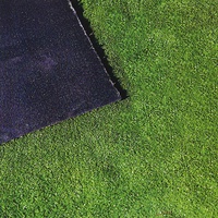 Moqueta Cesped Lubeck 7 mm 2x5 metros