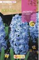 Bulbos Jacinto Variedad Sky Jacket
