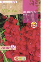 Bulbos Gladiolos Jumbo Rojo
