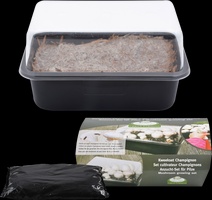 Set de Cultivo de Champi�ones