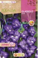 Bulbos Gladiolos Jumbo Azul