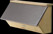 Caja Nido Vencejo Comun