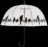Paraguas Transparente Pajaros Sobre Alambre