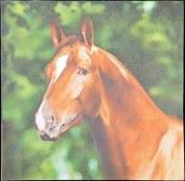 Servilletas de Papel Caballo 33x33cm