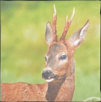 Servilletas de Papel Ciervo 33x33cm