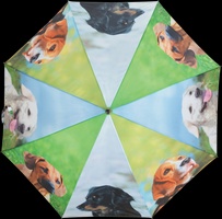 Paraguas Perros