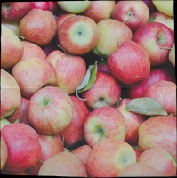 Servilletas de Papel Manzanas 33x33cm