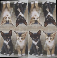 Servilleta Papel Gatitos 33x33 20 unidades