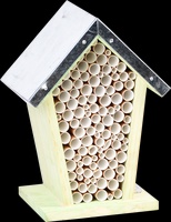 Casa Nido Abejas Celdas