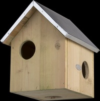 Casa Nido de Ardilla