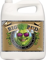 Advanced Nutrients Big Bud Coco Liquid 10 Litros