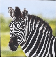 Servilletas de Papel Cebra 33x33cm