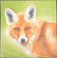 Servilletas de Papel Zorro 33x33cm