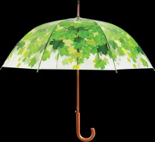 Paraguas Transparente Copa de Arbol